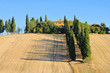 Podere im Herbst - Podere in fall 26