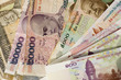 Fan of Cambodian Currency