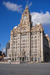 Liver Building