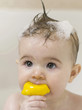 Baby girl with soap suds on her hair biting on a rubber duck