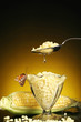 Butterfly landing on a cup of corns