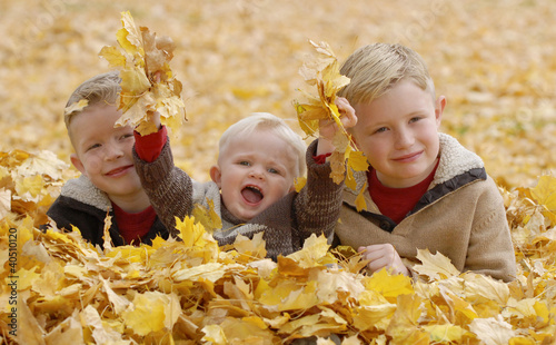 Foto: Three boys playing with autumn leaves Three boys playing with autumn leaves