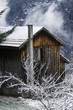 Foto: Winter scene Winter scene