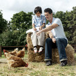 Man assisting boy in drawing a picture of a chicken