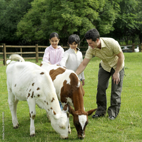 Photo: Man, boy and girl patting a calf in the farm Man, boy and girl patting a calf in the farm