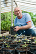 gardener with seedlings