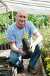 gardener