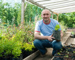 gardener with seedlings