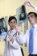 Doctors looking at X-ray images