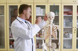 Photo: Doctor examining human skeleton model Doctor examining human skeleton model