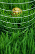 Globe surrounded by wire mesh on grass