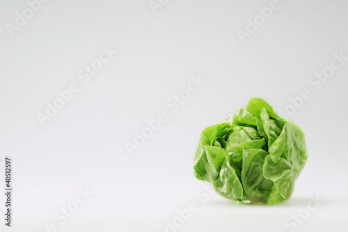 Photo: Butterhead lettuce Butterhead lettuce