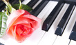 Detalii fotografie Piano