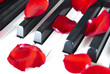 Detalii fotografie Piano