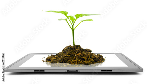 Фото: tablet tablet