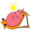 Vektor: cartoon pig on beach. animal sunbathing illustration cartoon pig on beach. animal sunbathing illustration
