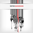 abstract vector zebra silhouette with barcode abstract vector zebra silhouette with barcode