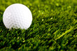 Photo: Golf Golf