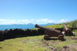 Batterie de canon