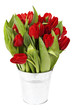 Detaily fotografie red tulips