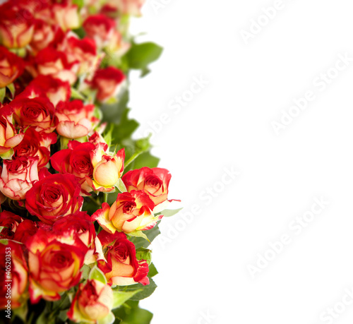 Photo: roses in a bunch isolated on a white background with space for t roses in a bunch isolated on a white background with space for t