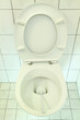 Toilettenreinigung