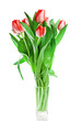 Tulips Tulips