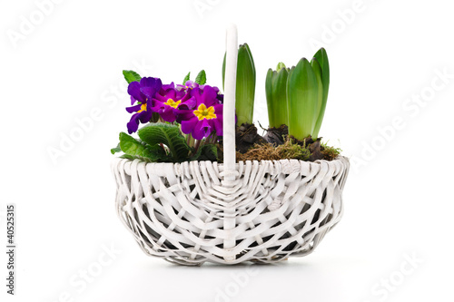 Photo: Spring bouquet Spring bouquet