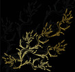 floral illustration with space for text floral illustration with space for text