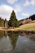 Im Steinachgrund
