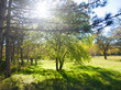 Foto: sunny park sunny park
