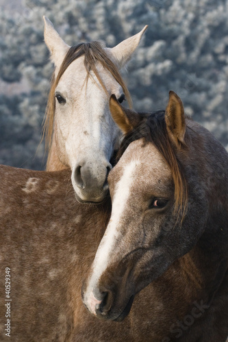 Photo: Friends Friends