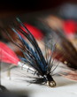 Butcher fly