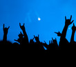 Photo: concert. contour of the fans concert. contour of the fans