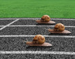 Snails race on sports track