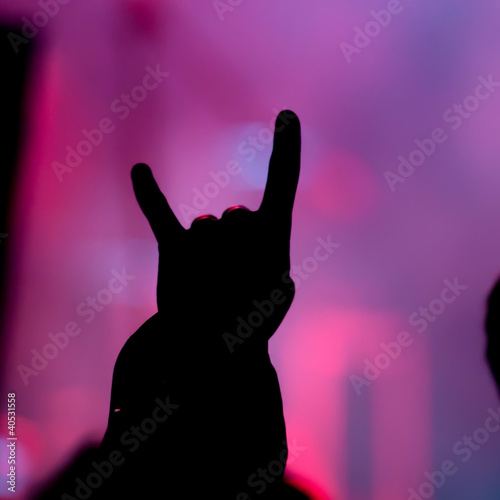 Photo: concert. contour of the fans concert. contour of the fans