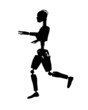 Walking Robot