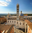 Siena Cathedral (duomo)