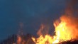 Feuer
