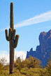 Arizona USA