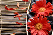 Spa-like setting. red flower and stone on mat