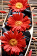 Photo: Spa-like setting. red flower and stone on mat Spa-like setting. red flower and stone on mat