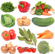 Fresh vegetable