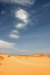 Libyan desert. Libyan desert.