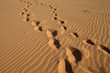 desert