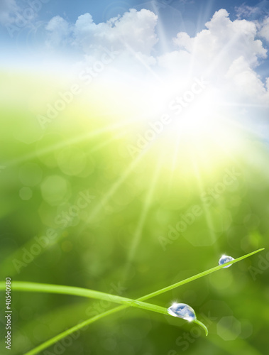 Photo: Eco background with Sky, Grass, Water Drops and Cloud reflection Eco background with Sky, Grass, Water Drops and Cloud reflection