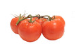 bunch of fresh tomatoes isolated on white bunch of fresh tomatoes isolated on white