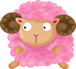 cute sheep