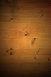 Foto: Old wooden background Old wooden background