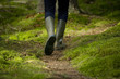 Walk in the Forest